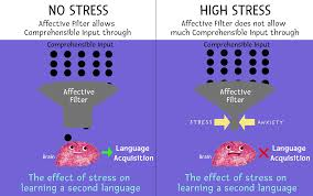 An overview of Affective filter -Krashen’s hypothesis