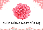 CHÚC MỪNG NGÀY CỦA MẸ 09/05/2026